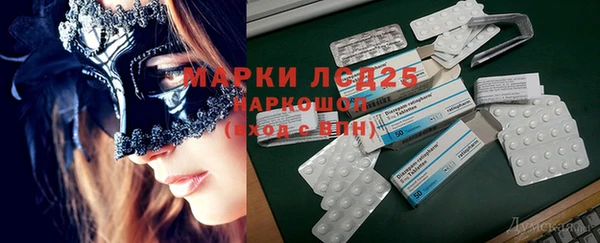 ПСИЛОЦИБИНОВЫЕ ГРИБЫ Снежногорск