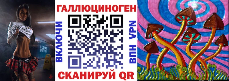 купить наркоту  Дальнереченск  Галлюциногенные грибы GOLDEN TEACHER 